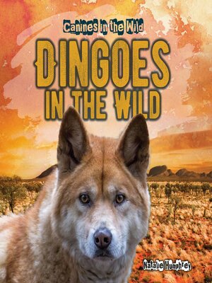 cover image of Dingoes in the Wild
